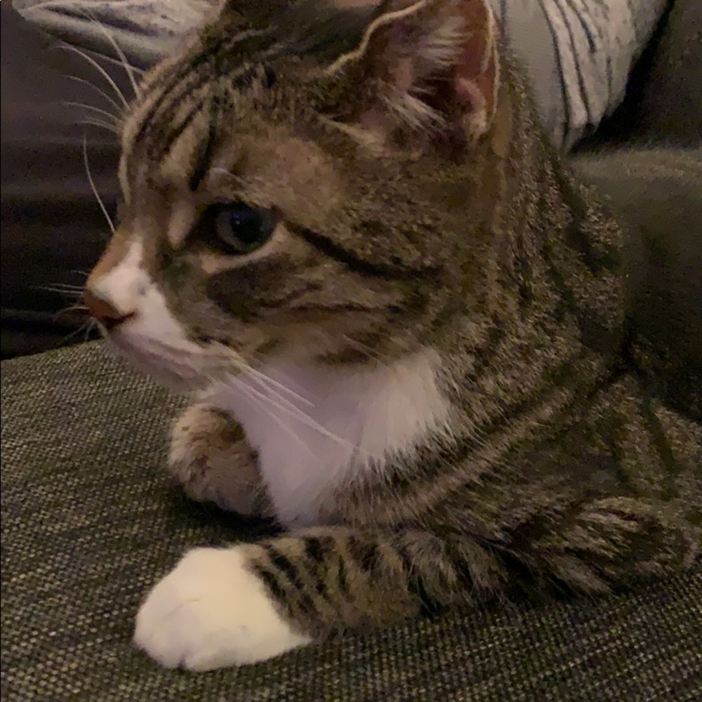 Meet your Posher, Veronika